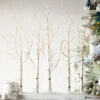RAZ Lighted Birch Grove 30 Inch - 88 Warm White LED'S Steady And Twinkle Functions