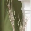 40 Inch Birch Branch With Iridescent Icy Glitter - From RAZ -Home Decoration Onsale 40 inch birch 300