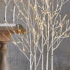 4 Foot Lighted Birch Grove - 175 Lights With Rounded Base -Home Decoration Onsale 4000925