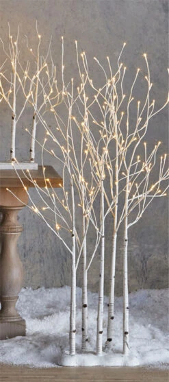 4 Foot Lighted Birch Grove - 175 Lights With Rounded Base