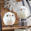4 Inch White Owl Ornaments Set Of 2 Assorted From RAZ -Home Decoration Onsale 4003421