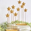 Gold Star Grove - 12 Inch Set Of 2