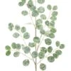 32 Inch Silver Dollar Spray - Green With Glitter Brown Stems -Home Decoration Onsale 80282