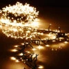 19.6 Foot Christmas Cluster Lights With 600 Warm White LED Garland - Green Wire - Remote Control RAZ -Home Decoration Onsale G3737059