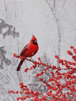 Raz 24 Inch Twinkling LED Lighted Cardinal Scene Print On Canvas