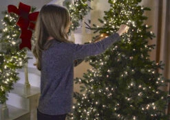 44 Foot Christmas Cluster Lights With 1300 Multi Color LED Garland - Green Wire - Remote Control RAZ -Home Decoration Onsale decorating with cluster lights 3