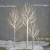 7 Foot Lighted Birch Tree - 750 Warm White Fairy Lights - From RAZ -Home Decoration Onsale fairy light trees