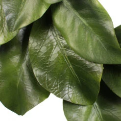 Magnolia Wreath - 16 Inch Candle Ring -Home Decoration Onsale magnolia close up