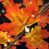 4 Foot LED Maple Tree - 48 Lights - For Use Indoors And Outdoors -Home Decoration Onsale maple tree detail