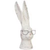 13.75 Inch Resin Rabbit With Glasses Decorative Figurine By RAZ -Home Decoration Onsale new style rabbit with glass
