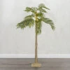 5 Foot Electric Lighted Palm Tree - 89 Warm White Micro Lights With Outdoor Adaptor -Home Decoration Onsale palm 5 foot