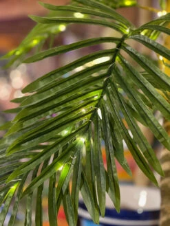 4 Foot Electric Lighted Palm Tree - 55 Warm White Micro Lights With Outdoor Adaptor -Home Decoration Onsale palm detail 1