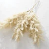 34 Inch Pampas Grass Bundle Of 3 -Home Decoration Onsale pampas glam 1
